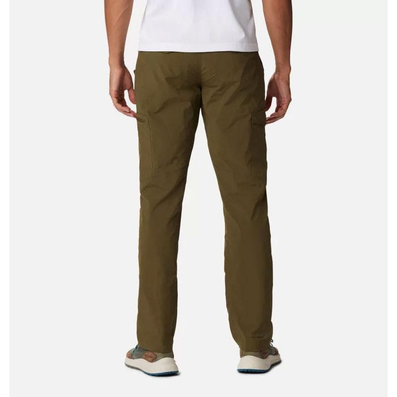 Load image into Gallery viewer, Columbia Silver Ridge Cargo Pant - 32in. Inseam - Men's